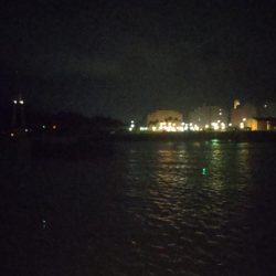 カゴ釣りからの飲ませ