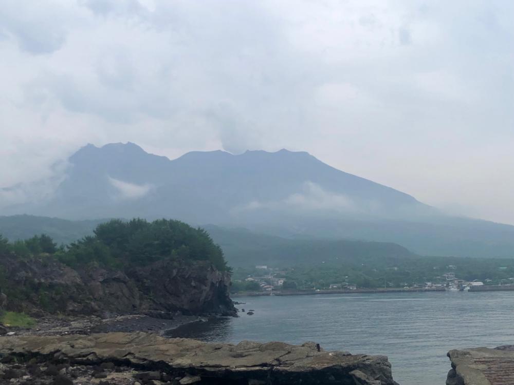 ロックフィッシュとハガツオ