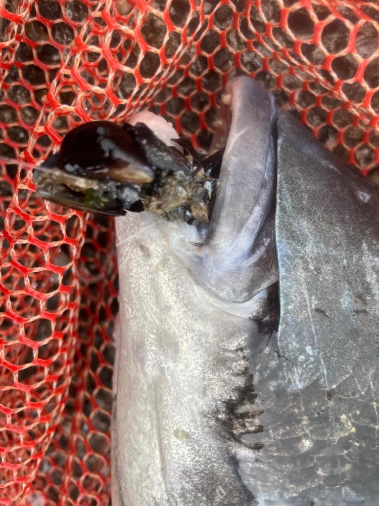 自己記録更新！