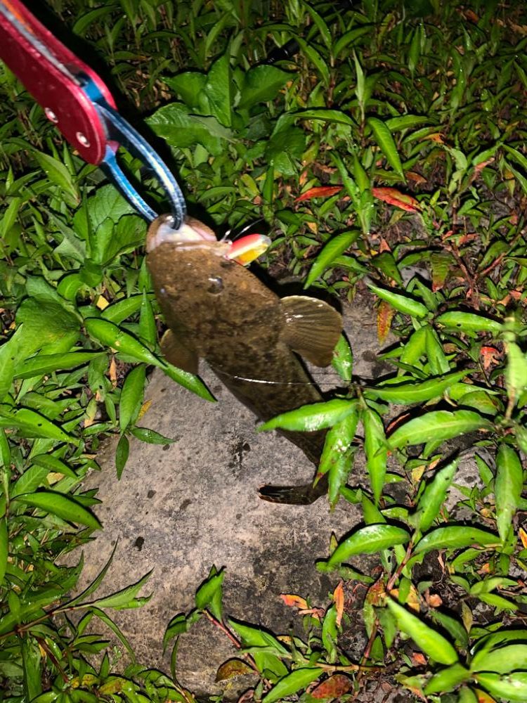 久しぶりのスズキサイズ(^^)