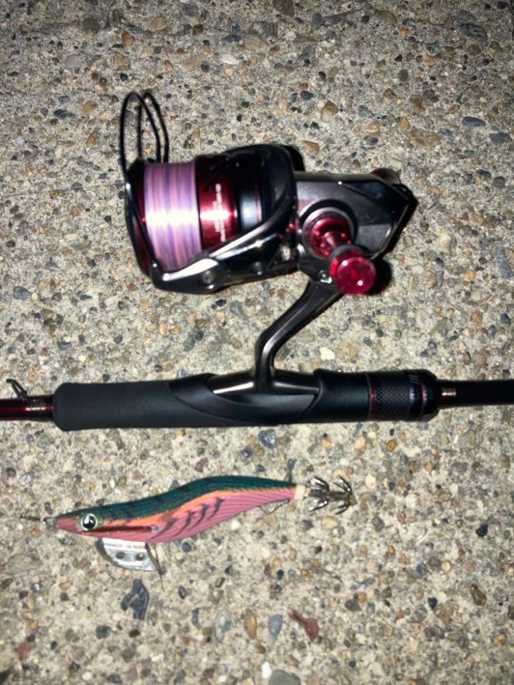 やっと春イカGET!\(^o^)/