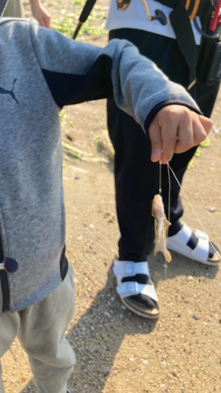 須磨海岸キス狙い