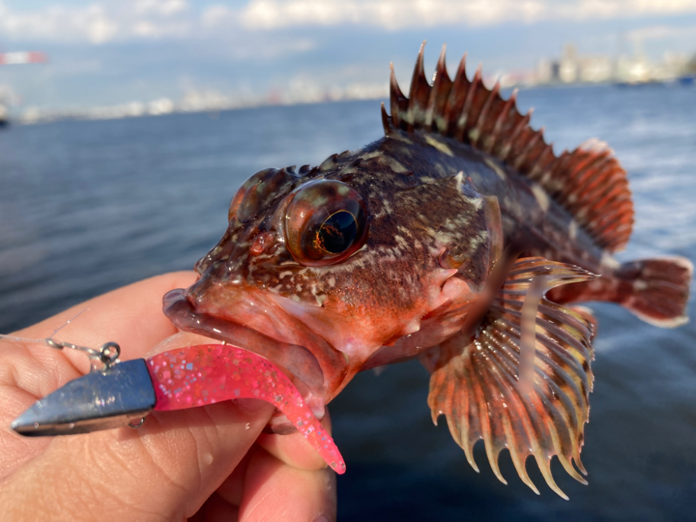 2年ぶりの釣り大会