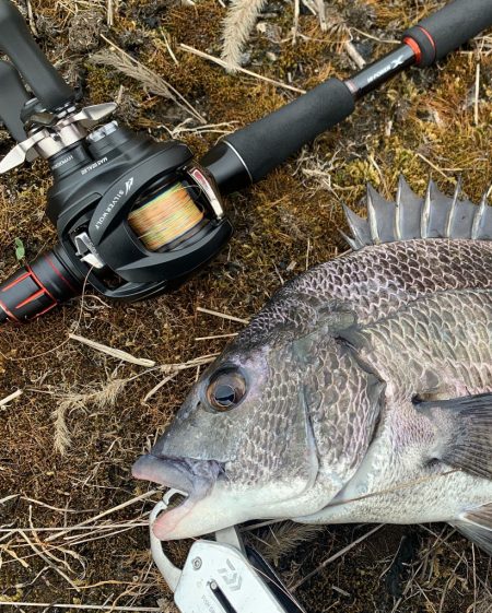 シルバーウルフの鱗付でナイスチヌ！