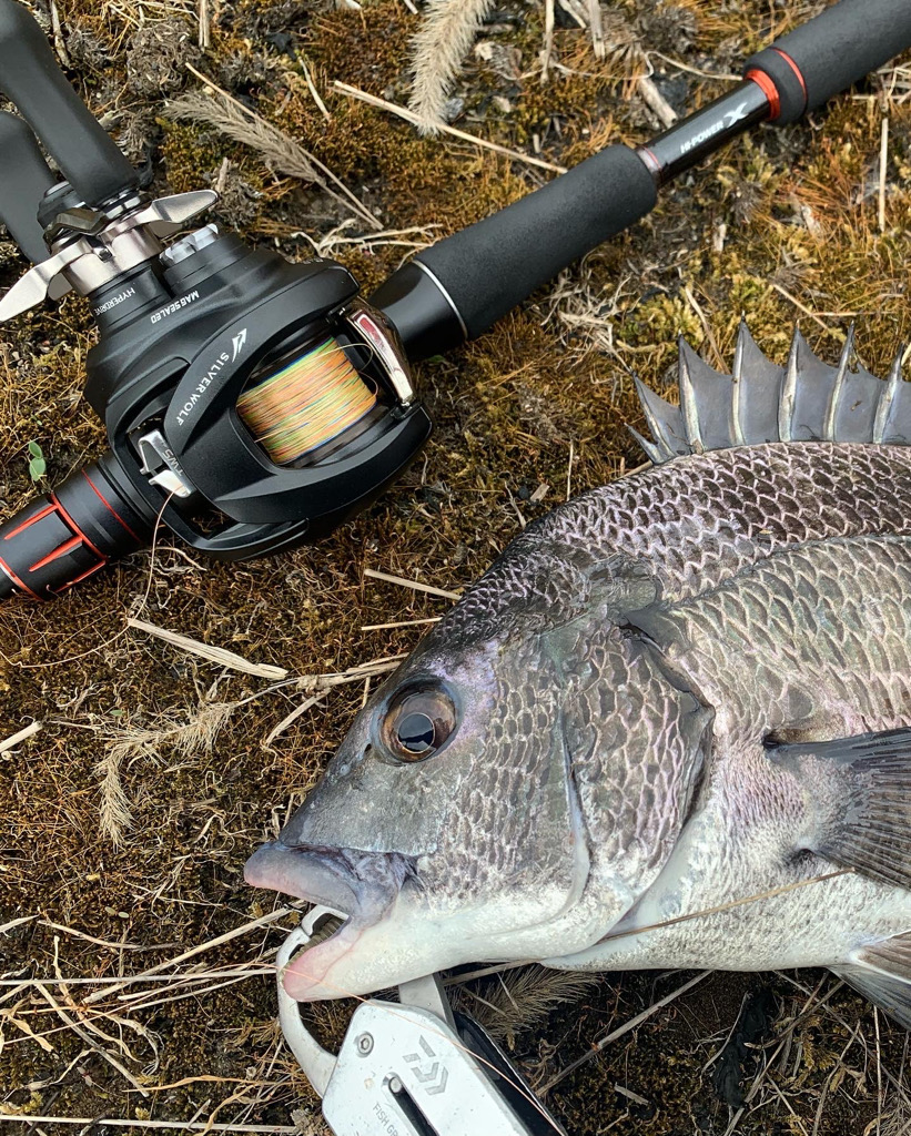 シルバーウルフの鱗付でナイスチヌ！