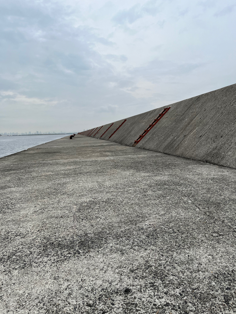 ブリ狙でモジャコに癒される