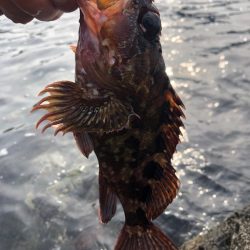 いよいよ夏本格化？？