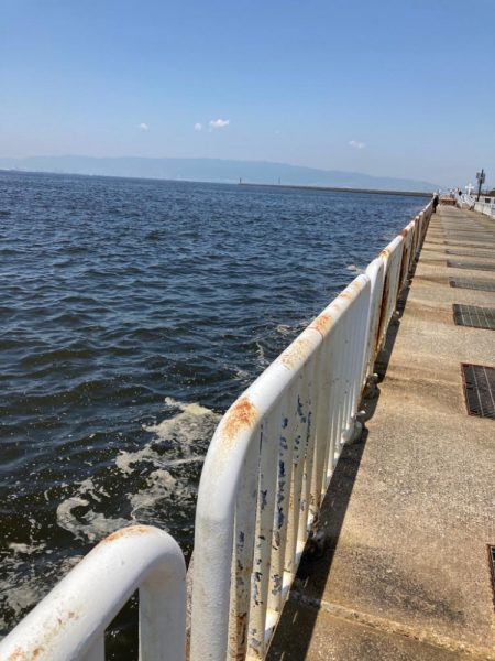 ⭐︎Are you ready?