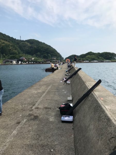 白杉漁港アジング