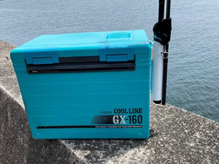 いつものパターン⁇