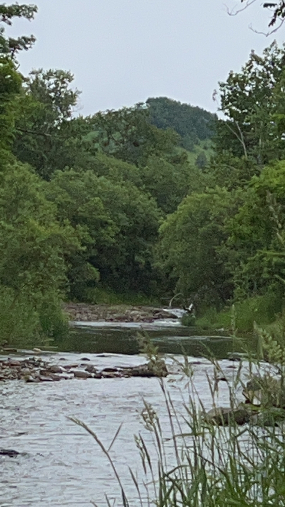渓流ルアーフィッシング