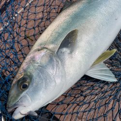 じゃのひれフィッシングパークさんにて