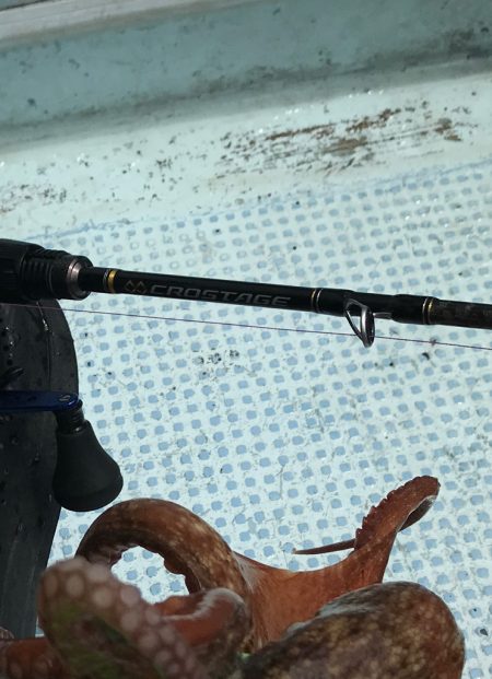 ぷりぷりタコエビでぷりタコゲット