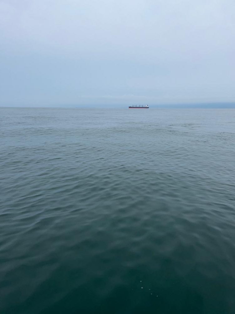 近場でエサ釣り