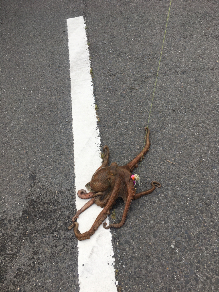 自己最高を更新