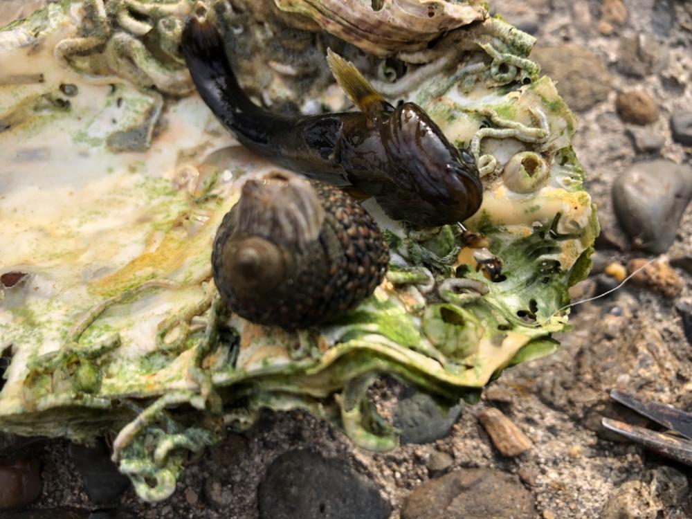 楽しい夕方のひと時(^ ^)