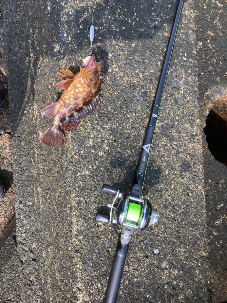 2022釣行37日目/穴釣り14回目