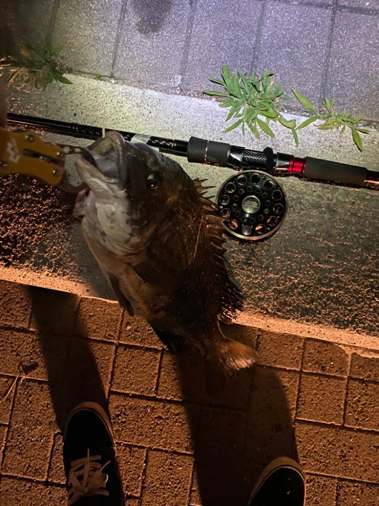 ヘチってきました