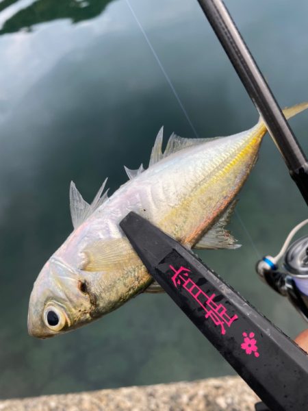 宵姫天S52UL鱗付け