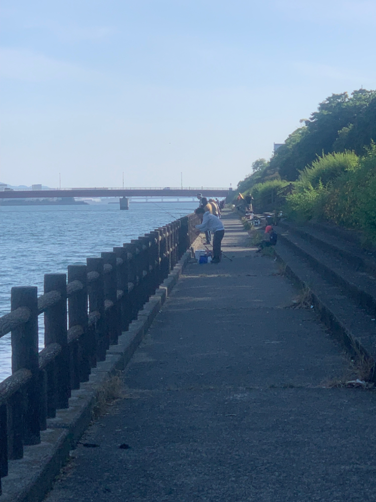 タコが食べたい！