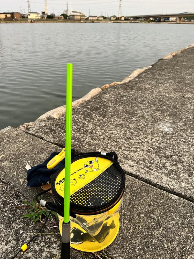 テナガエビ釣りなのに