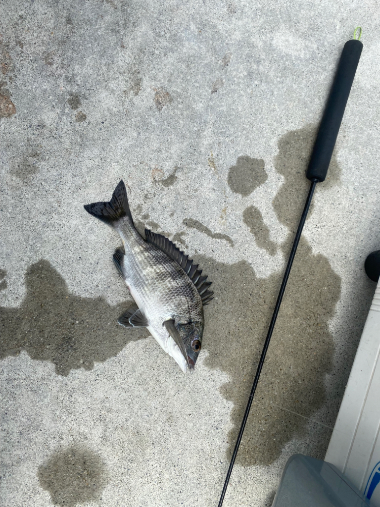 間開けず反応有り