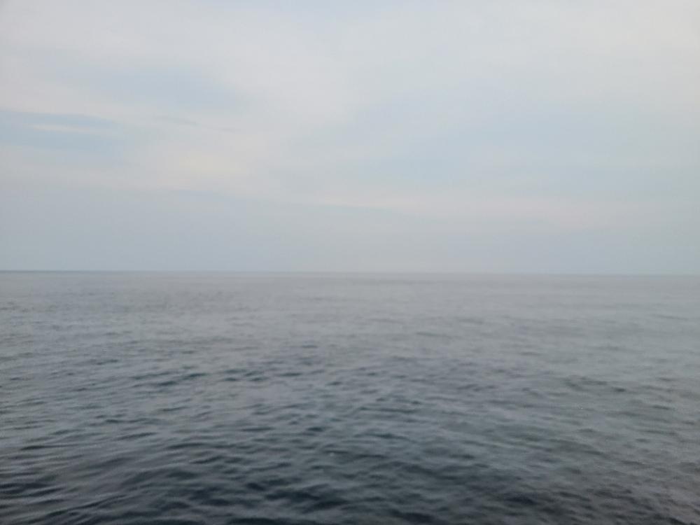 新たなるヤツが