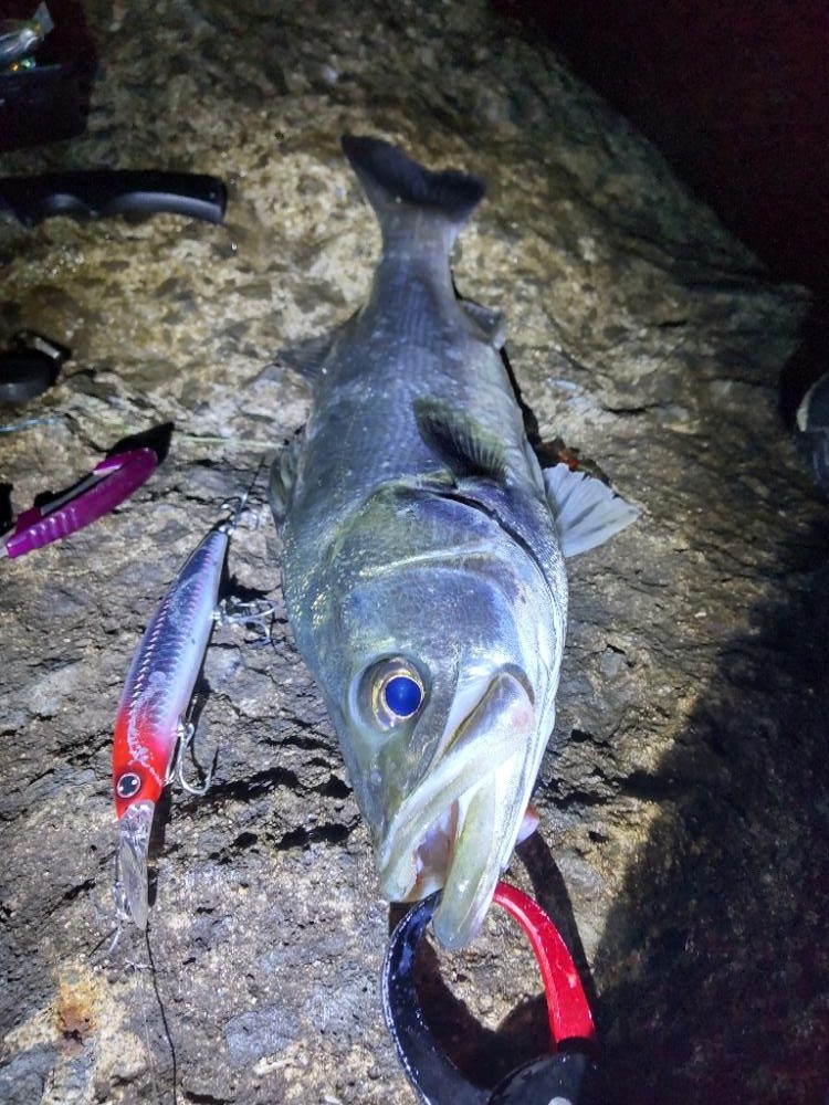 ショアプラッキング