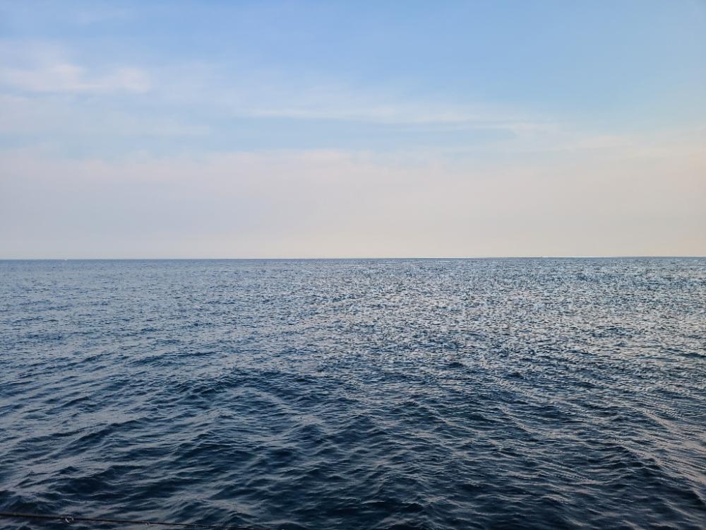 ロックフィッシュ好調!