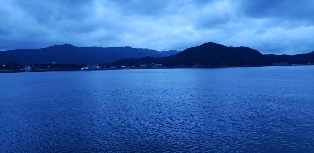 アジ探し@湯浅周辺