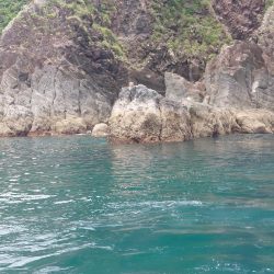 クロ釣り(畝刈)