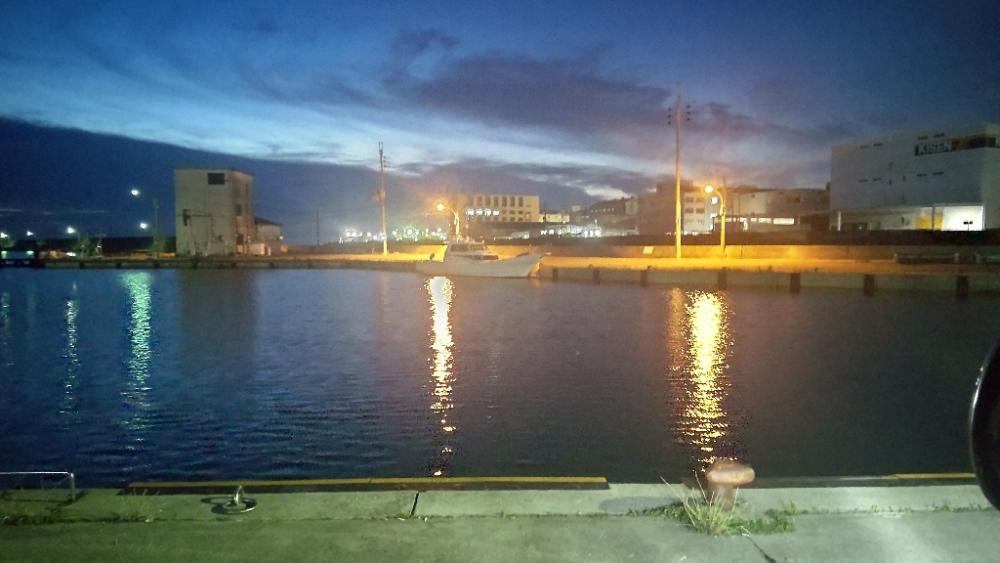 アジ探し@佐野漁港