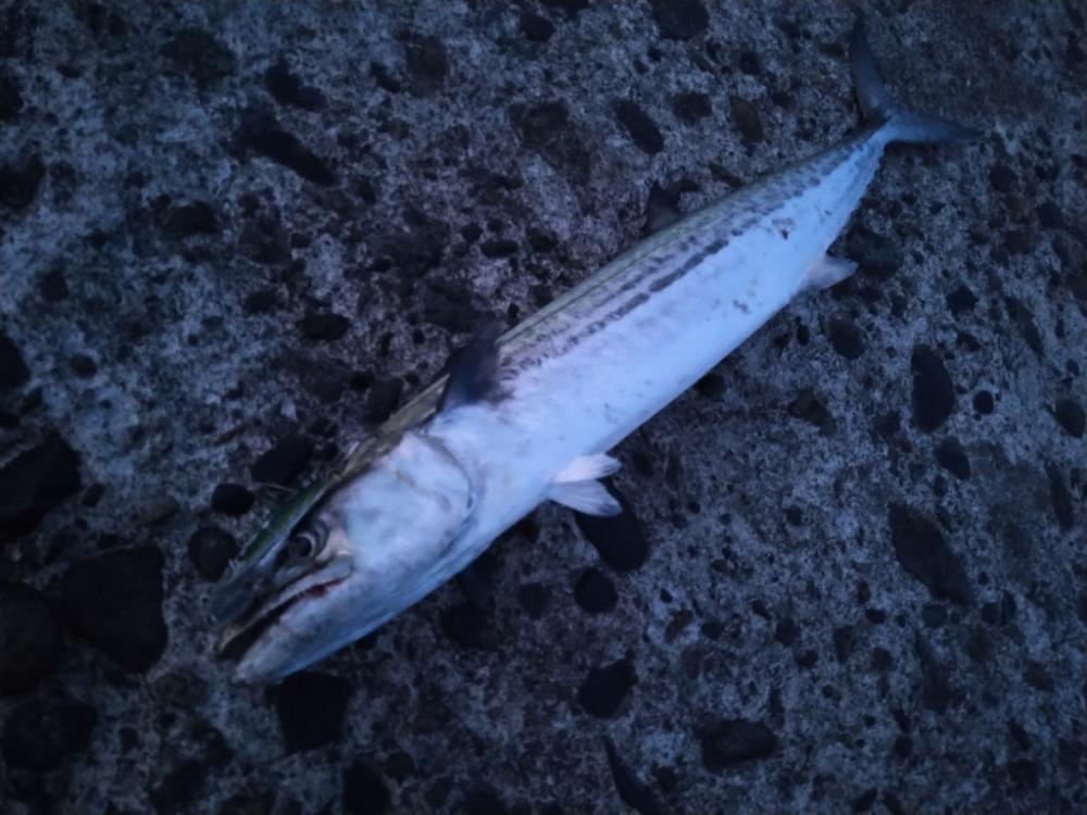 堤防とサーフで三目