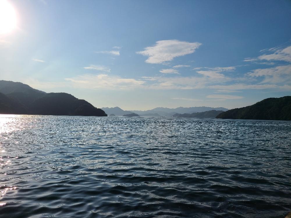 大きいヤツに会いに行く