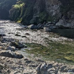 本流アマゴ釣り