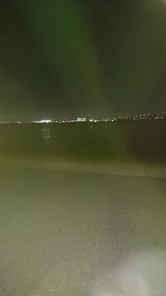 シーバス釣れない。