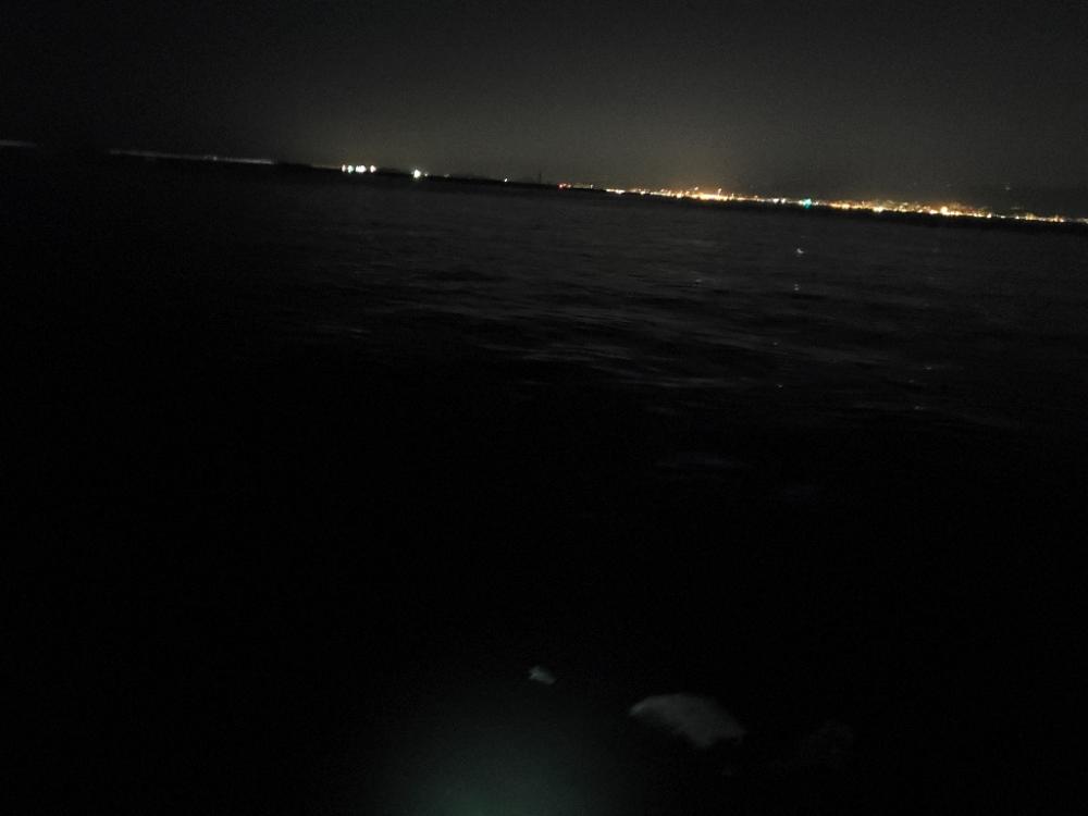 久々のライトゲーム