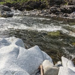 本流アマゴ釣り