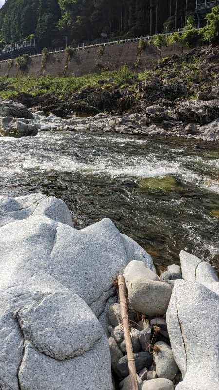 本流アマゴ釣り