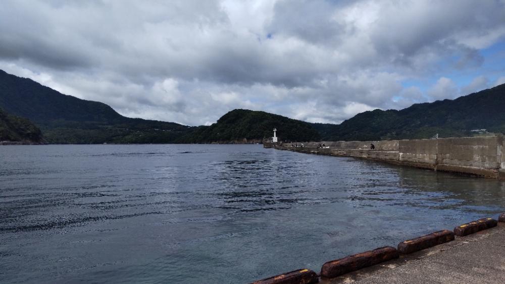 まさかの…ドラゴン!