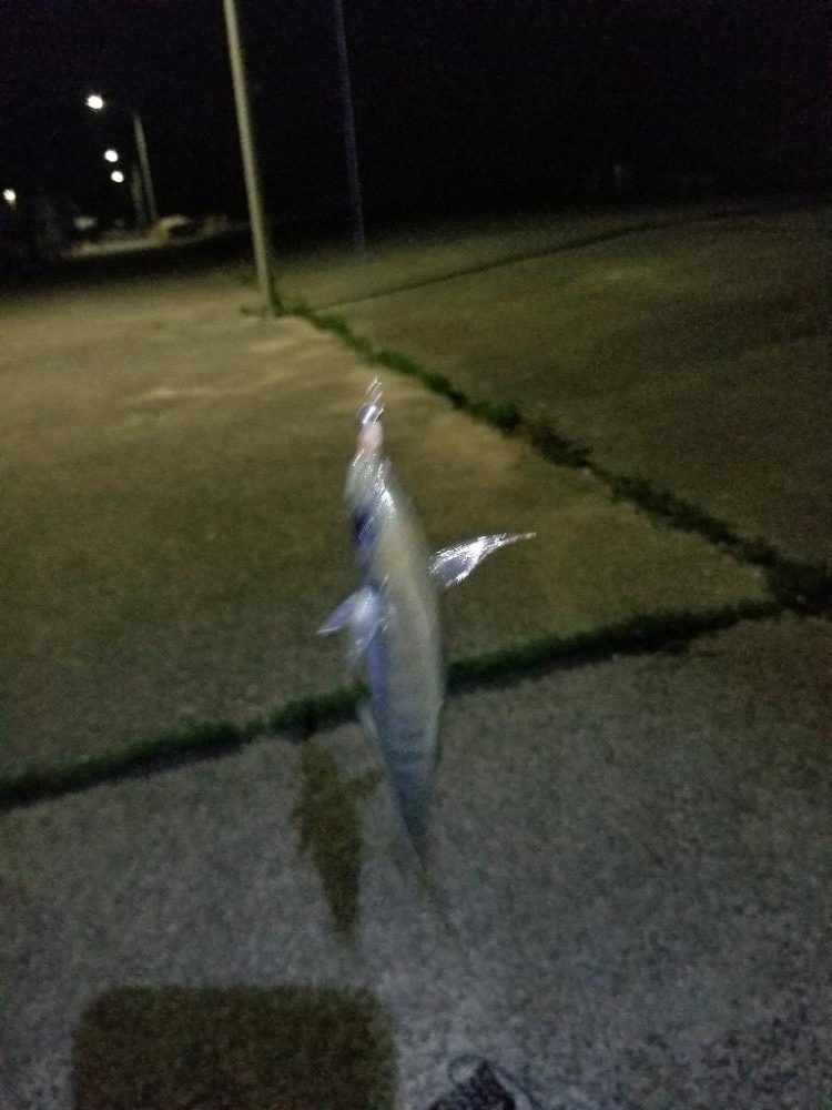 いつもの場所で