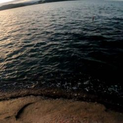 ベイトタックルで挑んだエギング