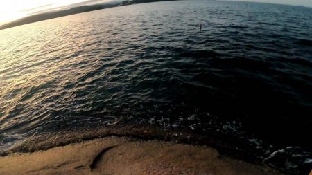 ベイトタックルで挑んだエギング