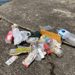 清掃活動：チヌ3枚