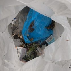 清掃活動：カゴ釣りからの飲ませ