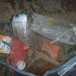 清掃活動：六月バス