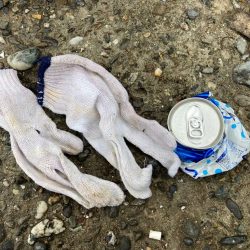 清掃活動：梅雨グレ