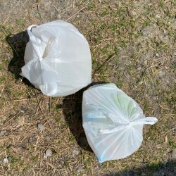 清掃活動：キス釣り