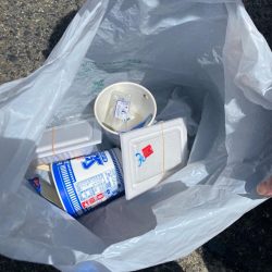 清掃活動：いろんなおさかな