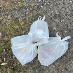 清掃活動：キス釣り